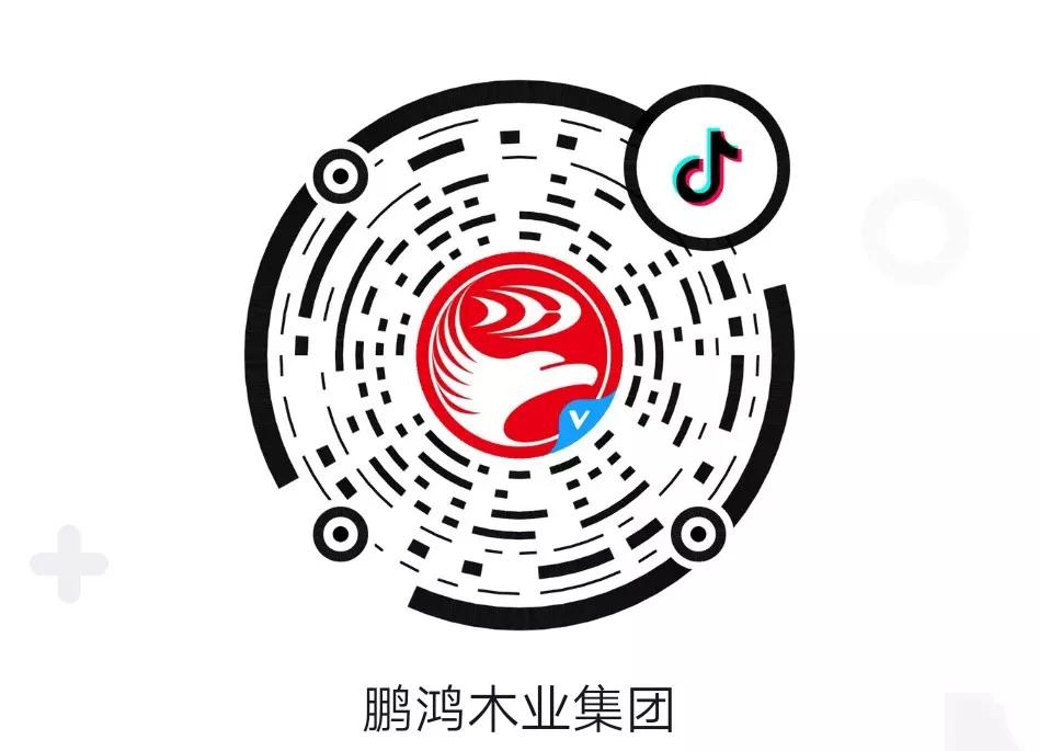這廂有禮丨這個春節(jié)我最鴻，抖音相伴幸福年