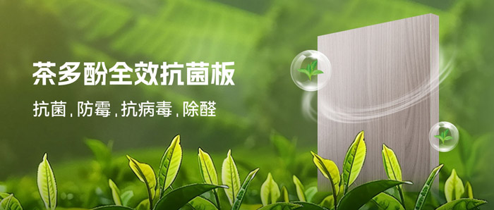 潮濕季必備！鵬鴻茶多酚抗菌板：99%抗菌+0級防霉+HENF級凈醛